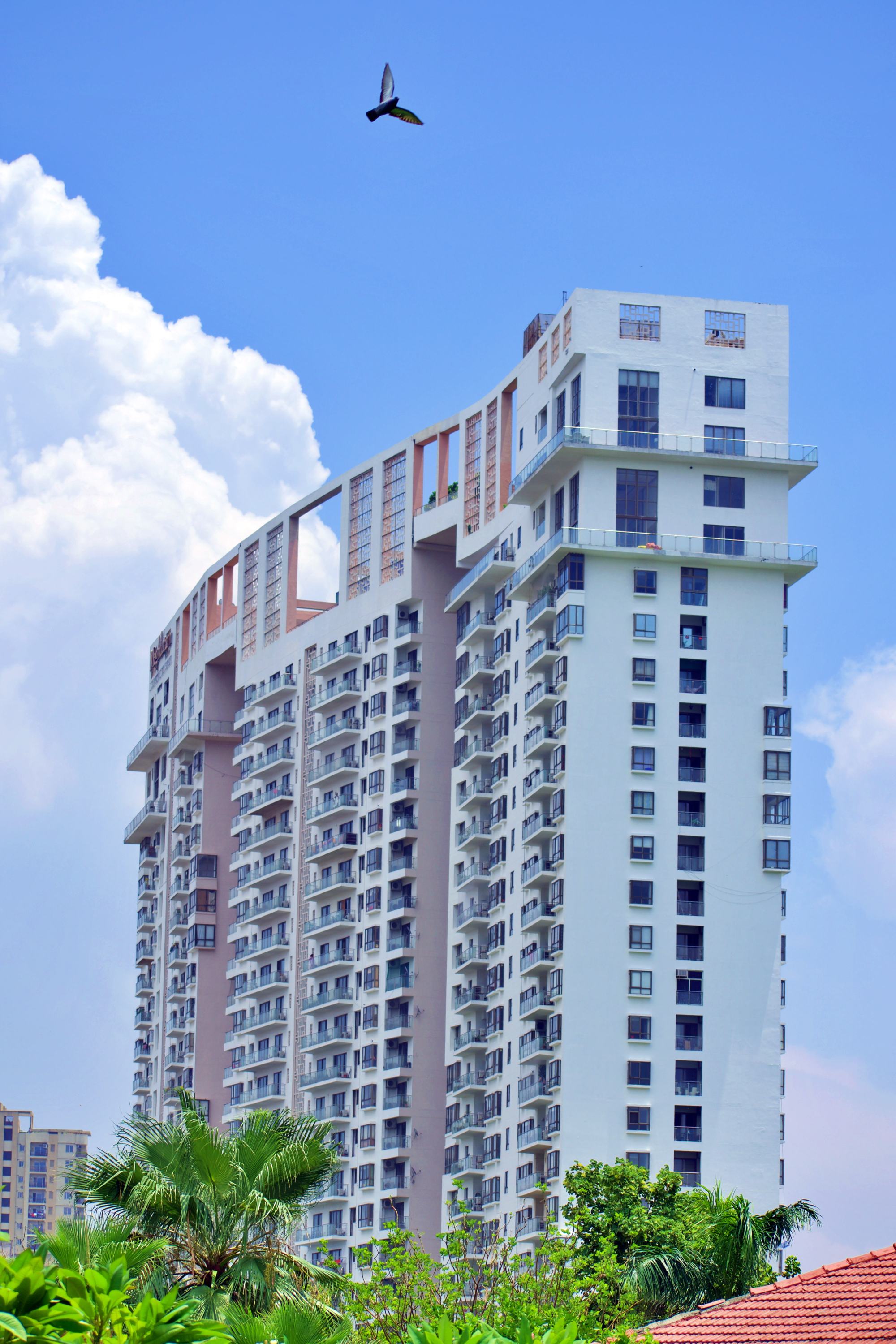 Content Banner Condo